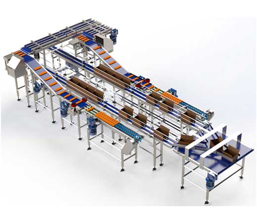 Conveyor System in Pune India