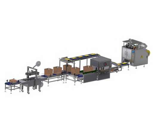 Secondary Packaging Machine in Pune India