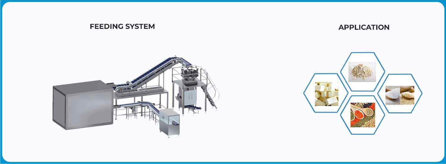 Conveyor/Conveyor System/Feeding System/Material Handling System