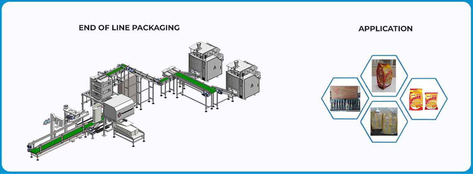 Conveyor/Conveyor System/Feeding System/Material Handling System